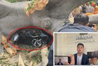 Mobil Mitsubshi Xpander Hitam Terjepit Pohon Tumbang. Asisten Marcom dan E-Commerce Manager, Andi Tri Santoso (insert)./kolase foto.dok IST