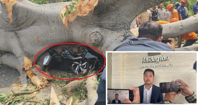 Mobil Mitsubshi Xpander Hitam Terjepit Pohon Tumbang. Asisten Marcom dan E-Commerce Manager, Andi Tri Santoso (insert)./kolase foto.dok IST