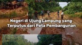 Wakil Bupati Pesisir Barat A. Zulqoini Syarif, SH meninjau langsung jalan yang digunakan masyarakat untuk menuju Pekon Way Haru Kecamatan Bangkunat dari pintu masuk Pekon Sumber Rejo Kecamatan Bangkunat.(08/2026) photo Istimewa