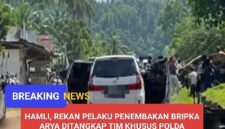 Lokasi Desa Gunung Mekar, Jabung, Lampung Timur/ photo.Dok.Istimewa