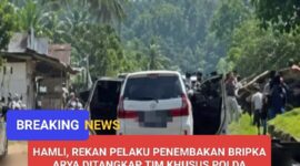 Lokasi Desa Gunung Mekar, Jabung, Lampung Timur/ photo.Dok.Istimewa