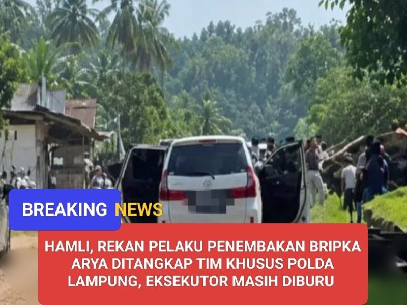 Lokasi Desa Gunung Mekar, Jabung, Lampung Timur/ photo.Dok.Istimewa