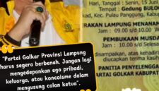 Ketua DPD SOKSI Lampung, Alzier Dianis Thabrani/kolase foto Dok: Istimewa 