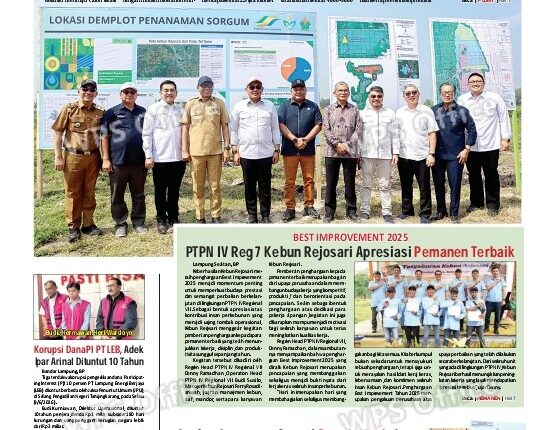 foto slider headline