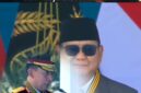 kolase foto (istimewa)