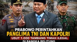 Foto kolase istimewa (ilustrasi)
