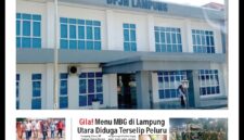 Oplus_16908288