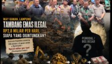 Kolase. Foto/ilustrasi.istimewa 
