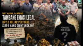 Kolase. Foto/ilustrasi.istimewa 