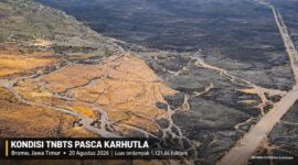 Foto udara kawasan Taman Nasional Bromo Tengger Semeru (TNBTS), Jawa Timur, yang terdampak karhutla. Foto diambil 20 Agustus 2026. ANTARA FOTO/Irfan Sumanjaya. 